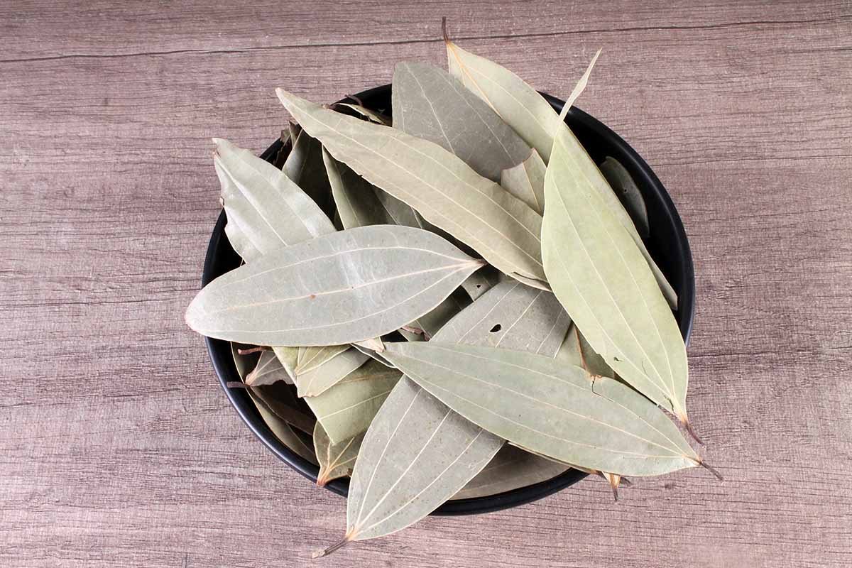 Bay Leaf/Tej Patta 20 Gm