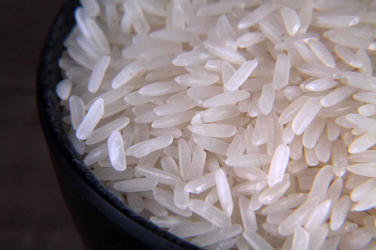 Jasmine/Japanese Rice 500 Gm – Neelam Foodland India