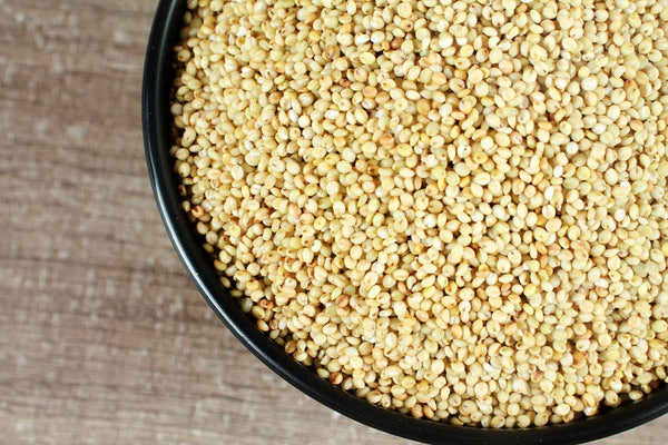 BROWN TOP MILLET 500